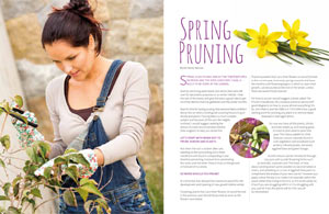 spring Pruning